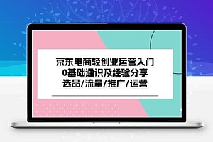  京东电商-轻创业运营入门0基础通识及经验分享：选品/流量/推广/运营