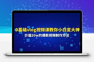  0基础vlog视频课教你小白变大神：价值20w的爆款视频制作方法