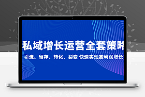 私域增长运营全套策略：引流、留存、转化、裂变 快速实现高利润增长