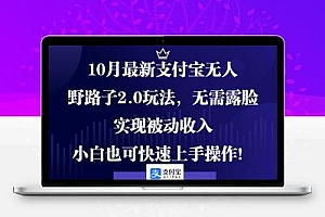 0月最新支付宝无人野路子2.0玩法，无需露脸，实现被动收入，小白也可…