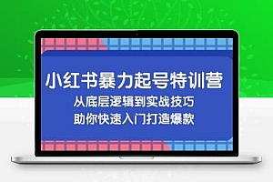 小红书暴力起号训练营，从底层逻辑到实战技巧，助你快速入门打造爆款