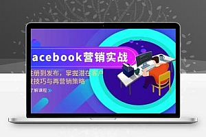  Facebook-营销实战：从注册到发布，掌握潜在客户开发技巧与再营销策略