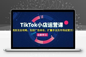  TikTok小店运营课：投流技法全攻略，包括广告命名 扩量手法及市场运营方法