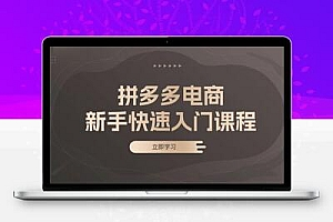  拼多多电商新手快速入门课程：涵盖基础、实战与选款，助力小白轻松上手