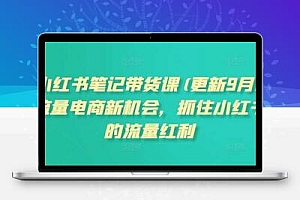 小红书笔记带货课(更新12月)流量电商新机会，抓住小红书的流量红利