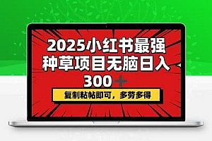 2025小红书最强种草项目，无脑日入300+，复制粘帖即可，多劳多得