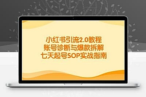小红书引流2.0教程，账号诊断与爆款拆解，七天起号SOP实战指南